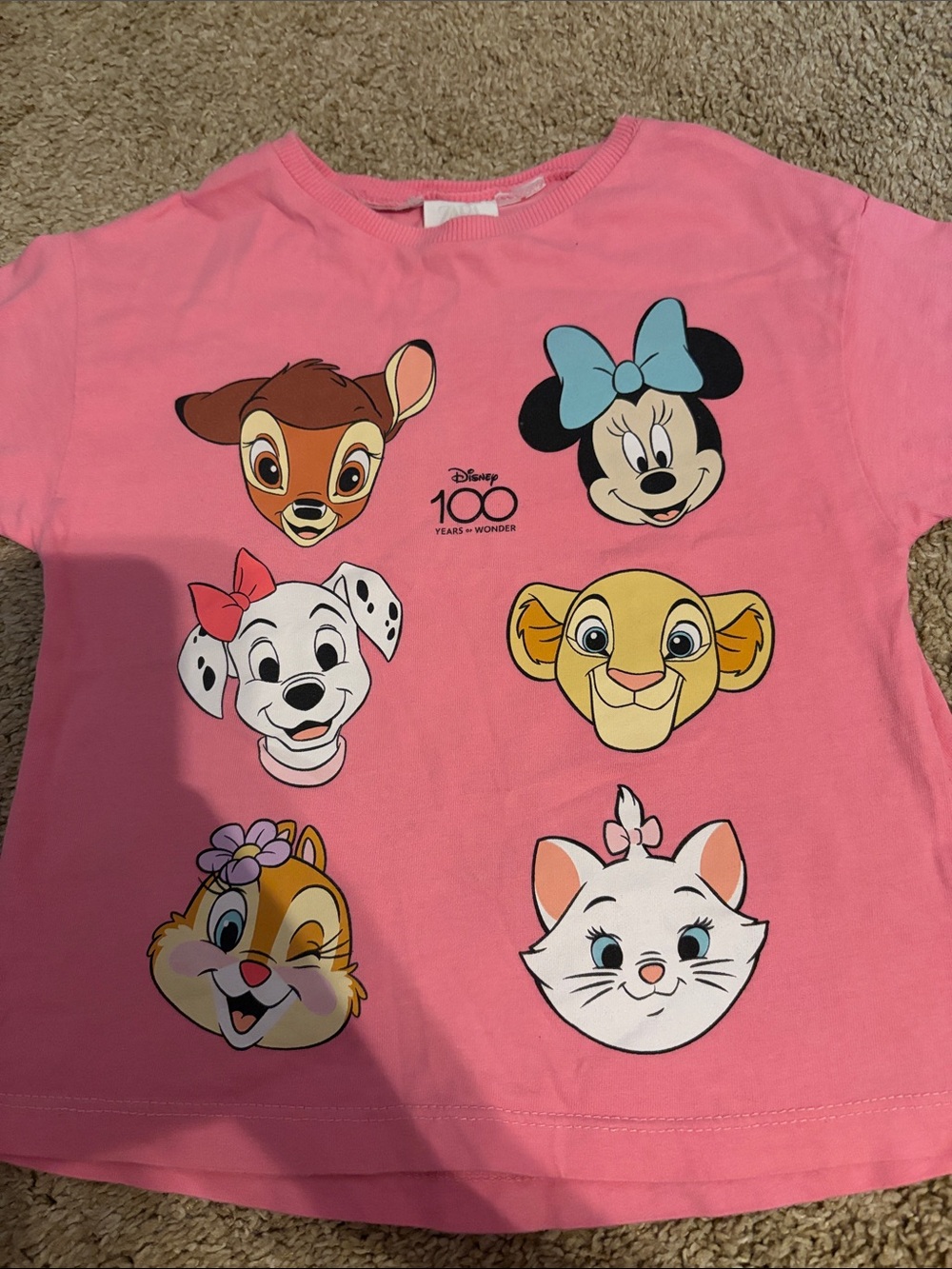 ZARA Disney 100 3-4T Pink Kids T-Shirt with Simba, Marie, Minnie, and more!